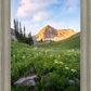 Timpanogos Meadow