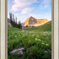Timpanogos Meadow