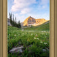 Timpanogos Meadow