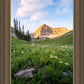 Timpanogos Meadow