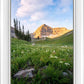 Timpanogos Meadow