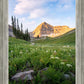 Timpanogos Meadow