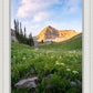 Timpanogos Meadow