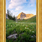 Timpanogos Meadow