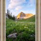 Timpanogos Meadow