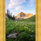 Timpanogos Meadow