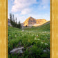Timpanogos Meadow