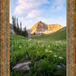 Timpanogos Meadow