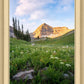 Timpanogos Meadow
