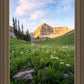Timpanogos Meadow