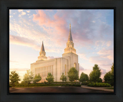 Kansas City Brightly Beams