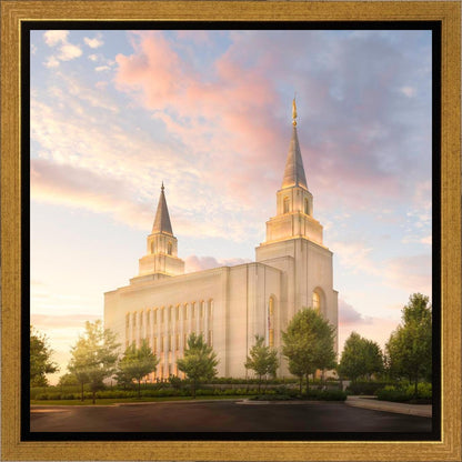 Kansas City Brightly Beams