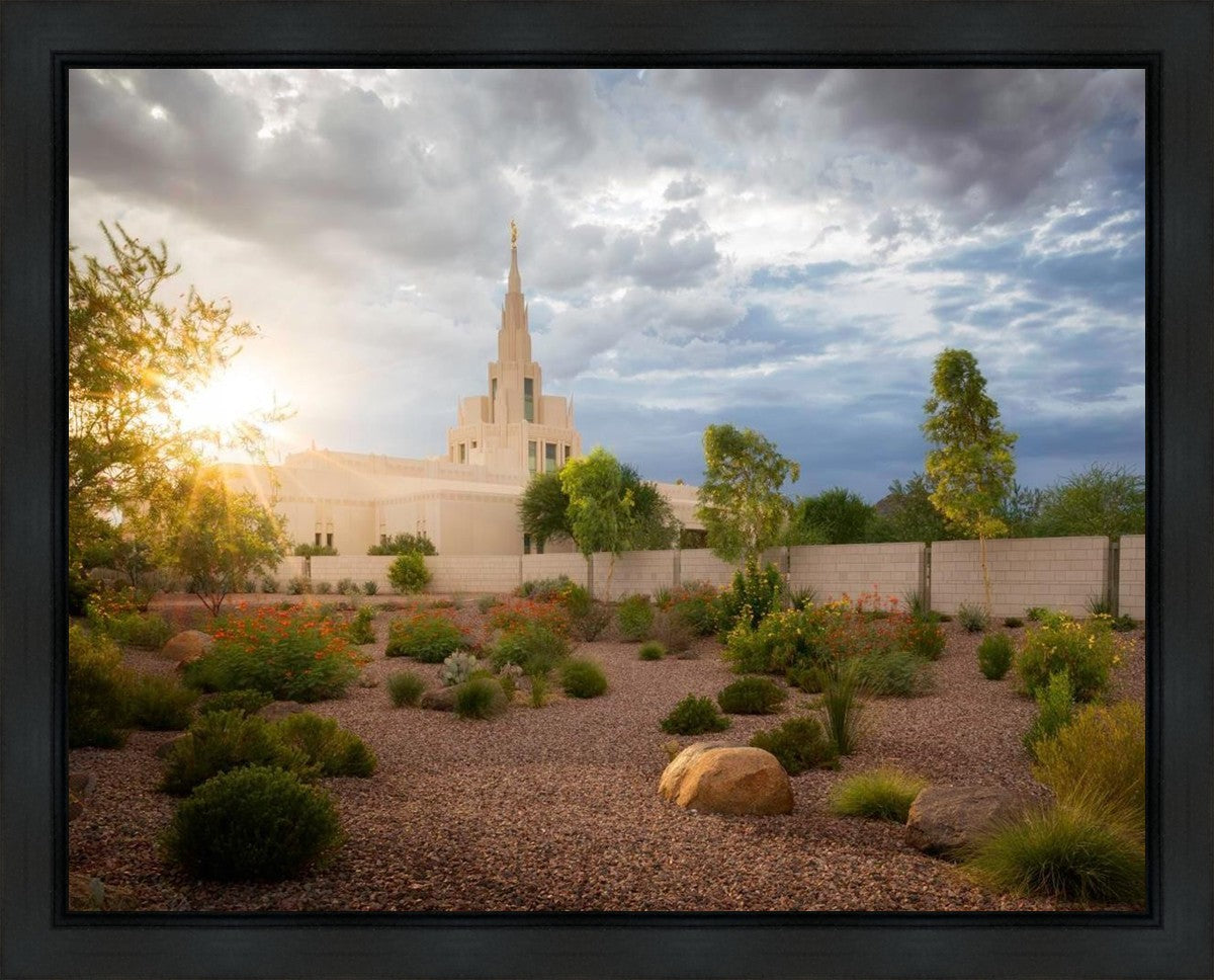 Phoenix Sun Gallery Wrap