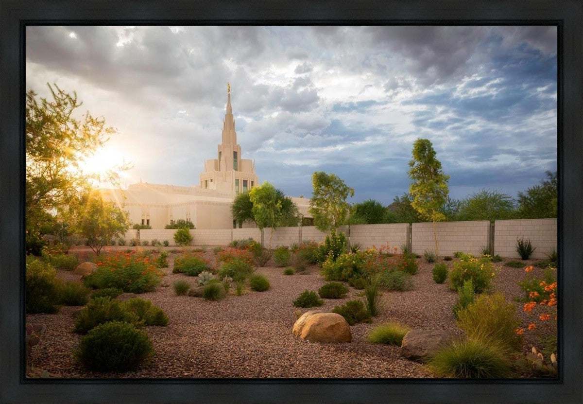 Phoenix Sun Gallery Wrap