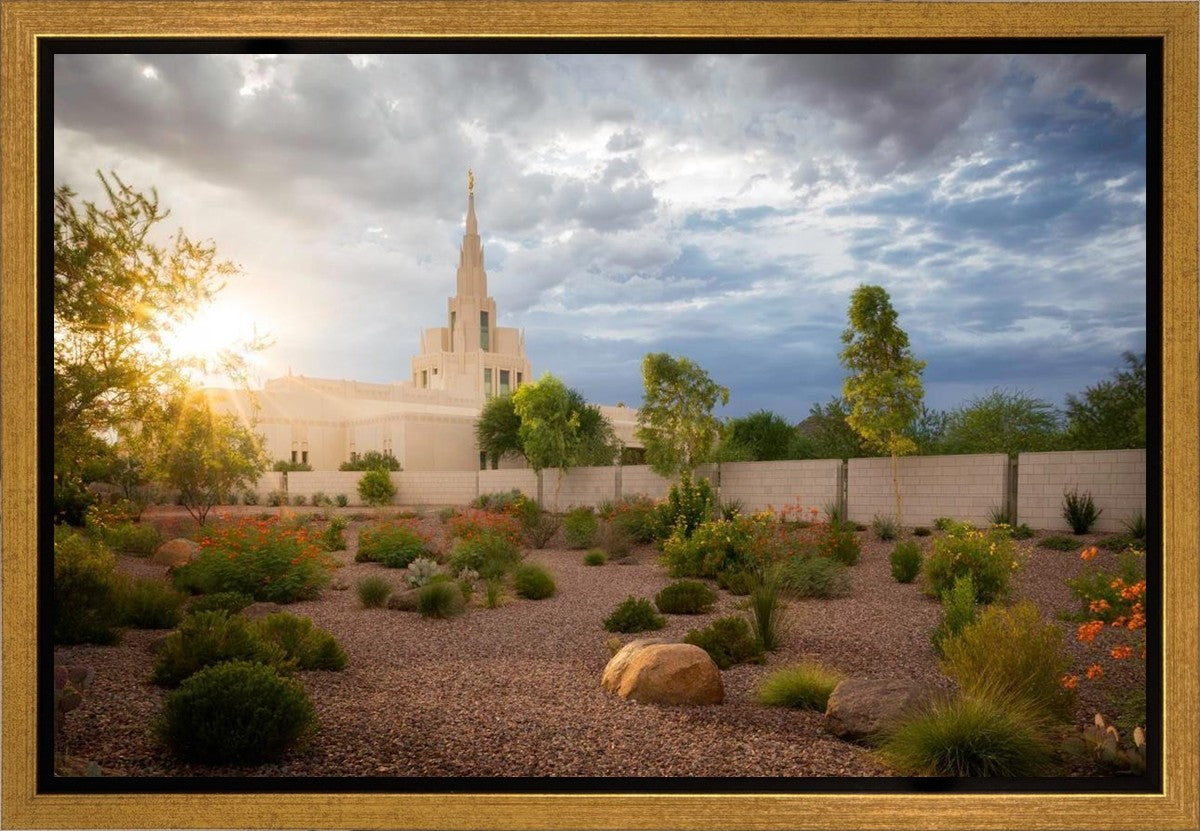 Phoenix Sun Gallery Wrap