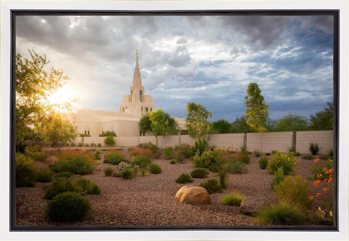 Phoenix Sun Gallery Wrap