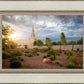 Phoenix Sun