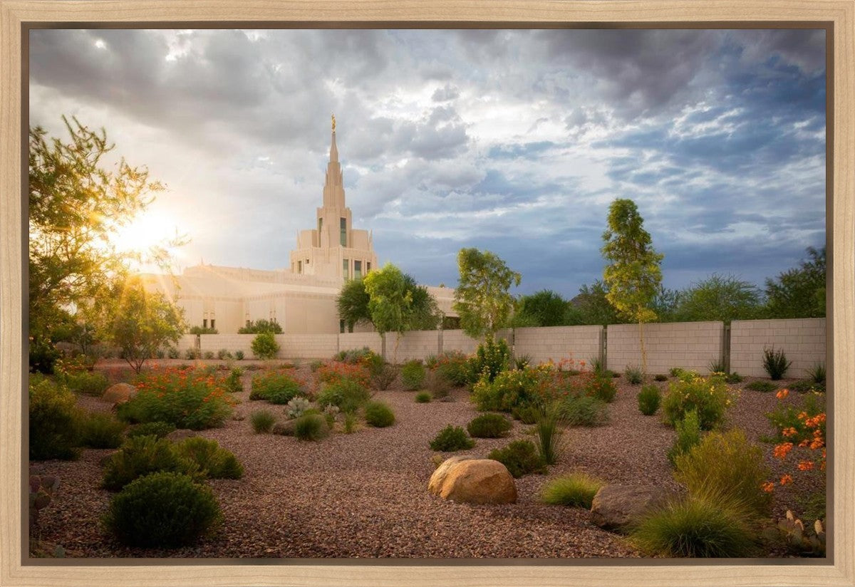 Phoenix Sun Gallery Wrap