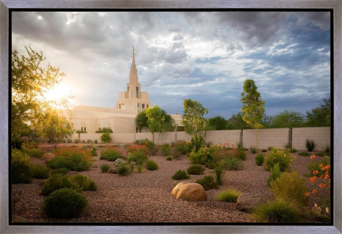 Phoenix Sun Gallery Wrap