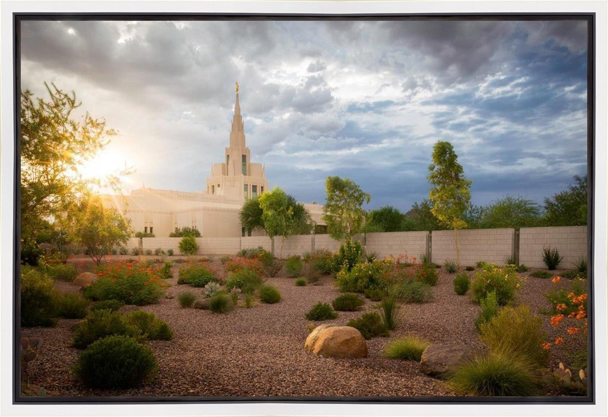 Phoenix Sun Gallery Wrap