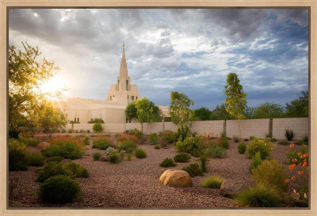 Phoenix Sun Gallery Wrap