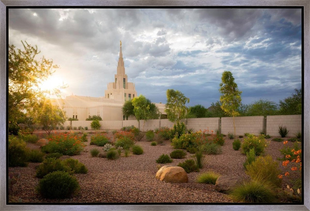 Phoenix Sun Gallery Wrap