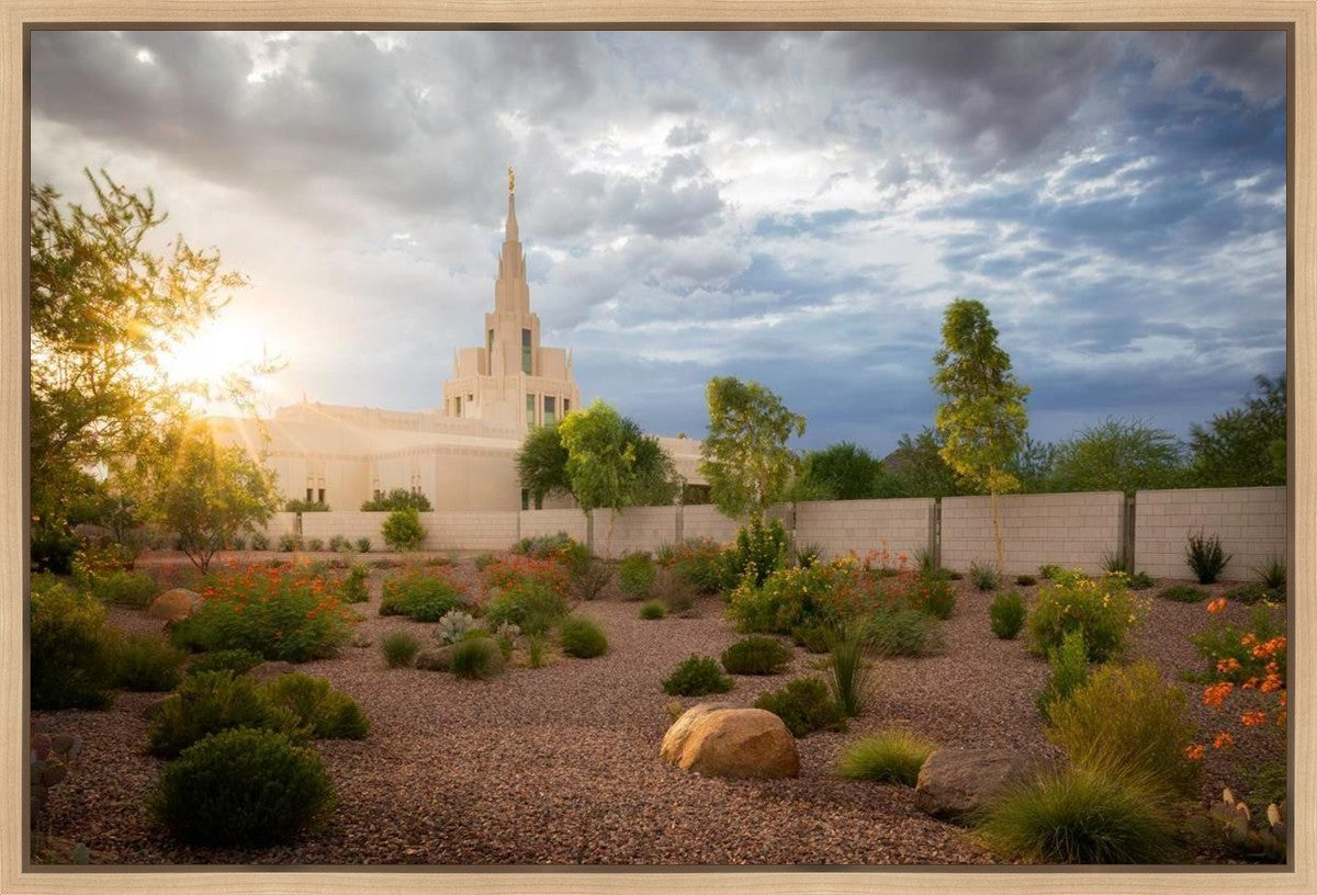 Phoenix Sun Gallery Wrap