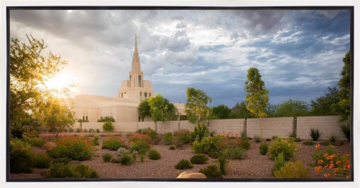 Phoenix Sun Gallery Wrap