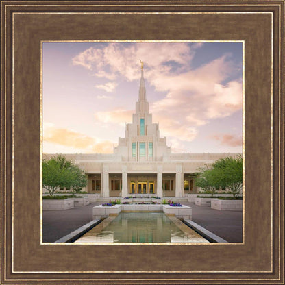 Phoenix Pool Sundown