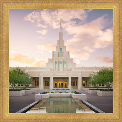 Phoenix Pool Sundown