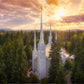 Portland From On High