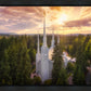 Portland From On High