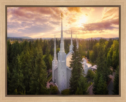 Portland From On High