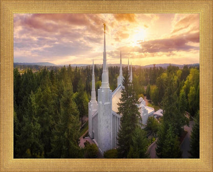 Portland From On High