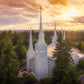 Portland From On High