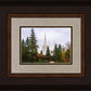 Portland Temple Forest Through The Trees