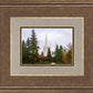 Portland Temple Forest Through The Trees