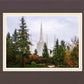Portland Temple Forest Through The Trees