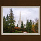 Portland Temple Forest Through The Trees