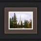 Portland Temple Forest Through The Trees