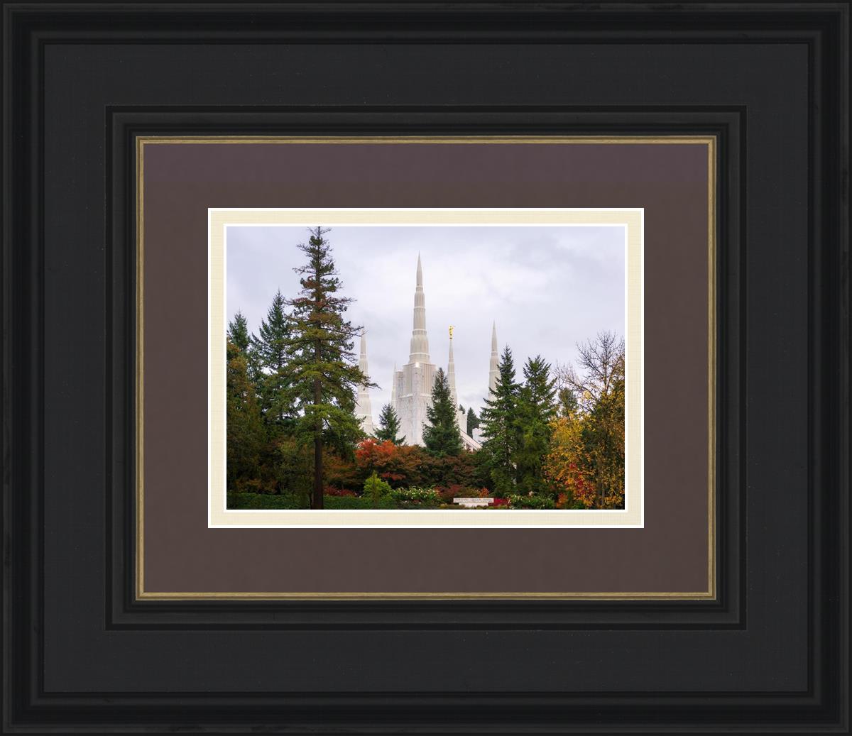 Portland Temple Forest Through The Trees