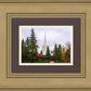 Portland Temple Forest Through The Trees