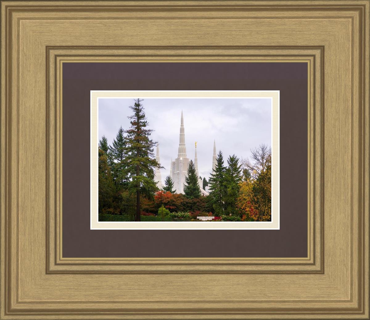 Portland Temple Forest Through The Trees
