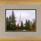 Portland Temple Forest Through The Trees