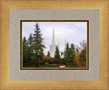 Portland Temple Forest Through The Trees