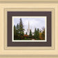 Portland Temple Forest Through The Trees