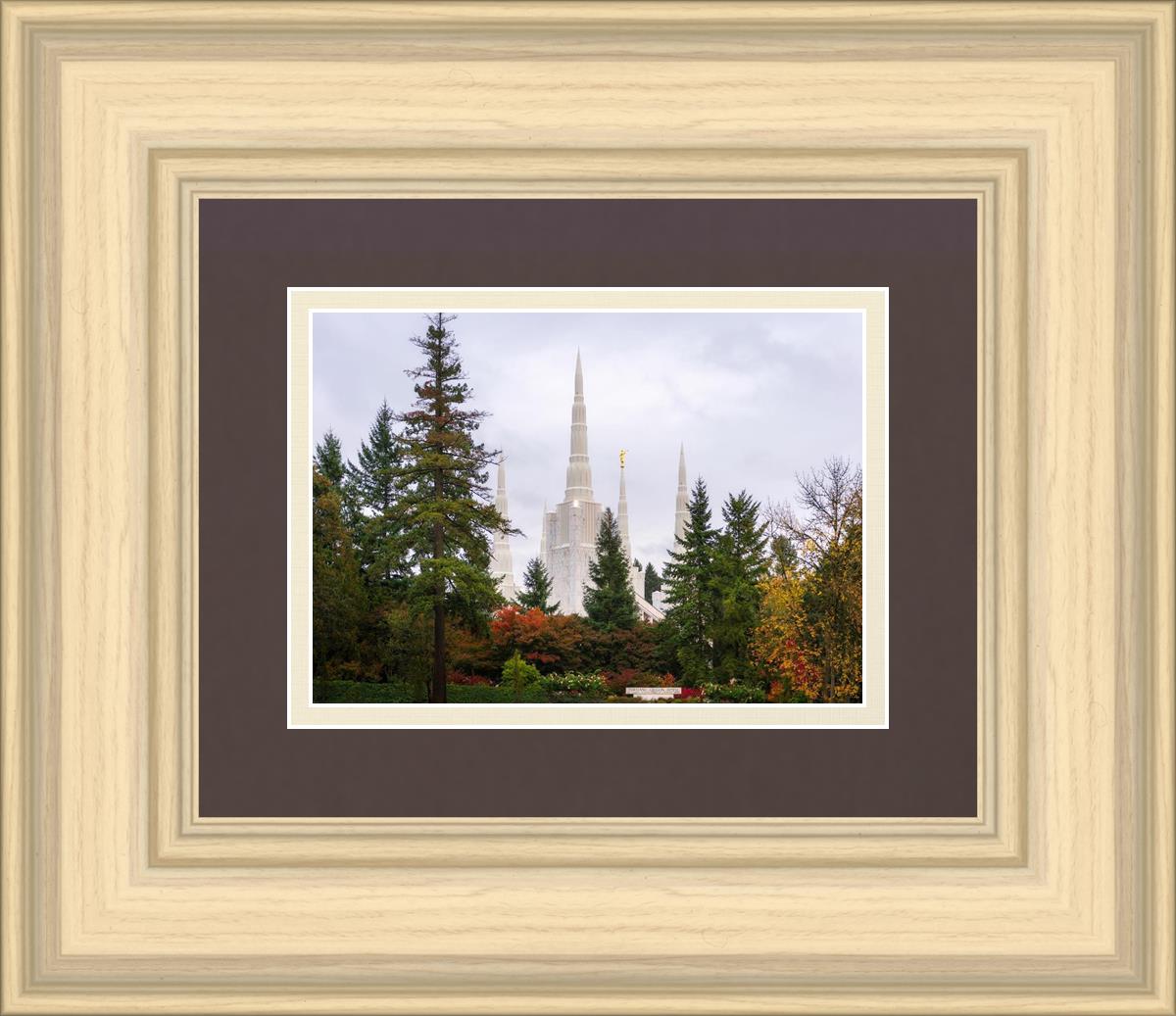 Portland Temple Forest Through The Trees