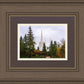 Portland Temple Forest Through The Trees