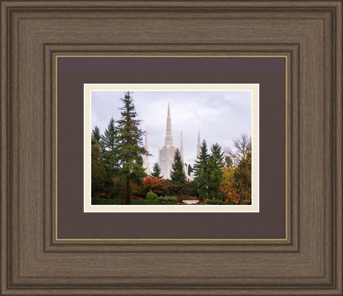 Portland Temple Forest Through The Trees