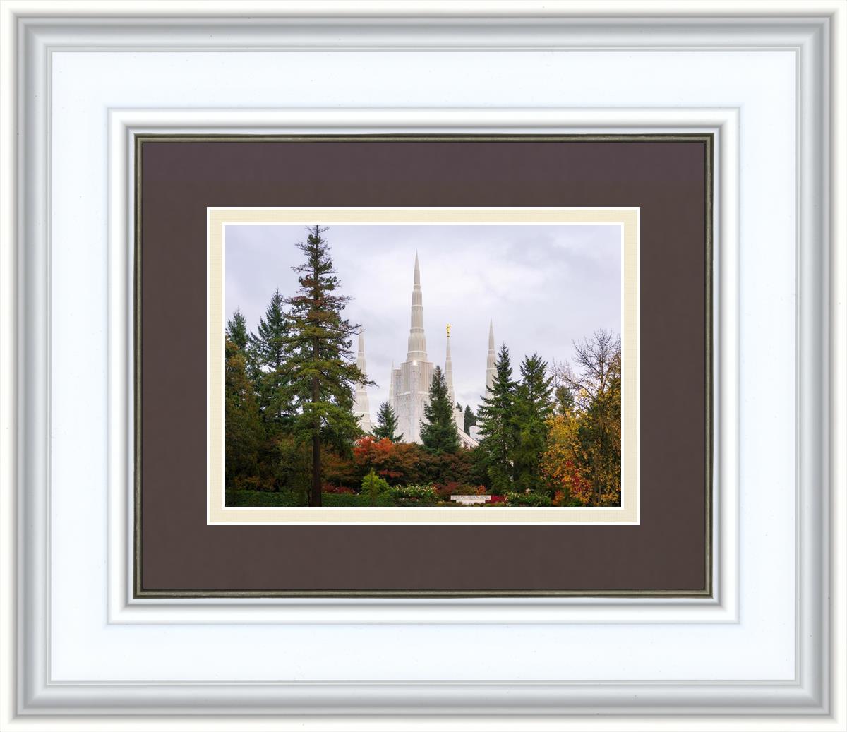 Portland Temple Forest Through The Trees